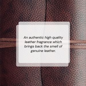 AirVive Leather Car Fragrance